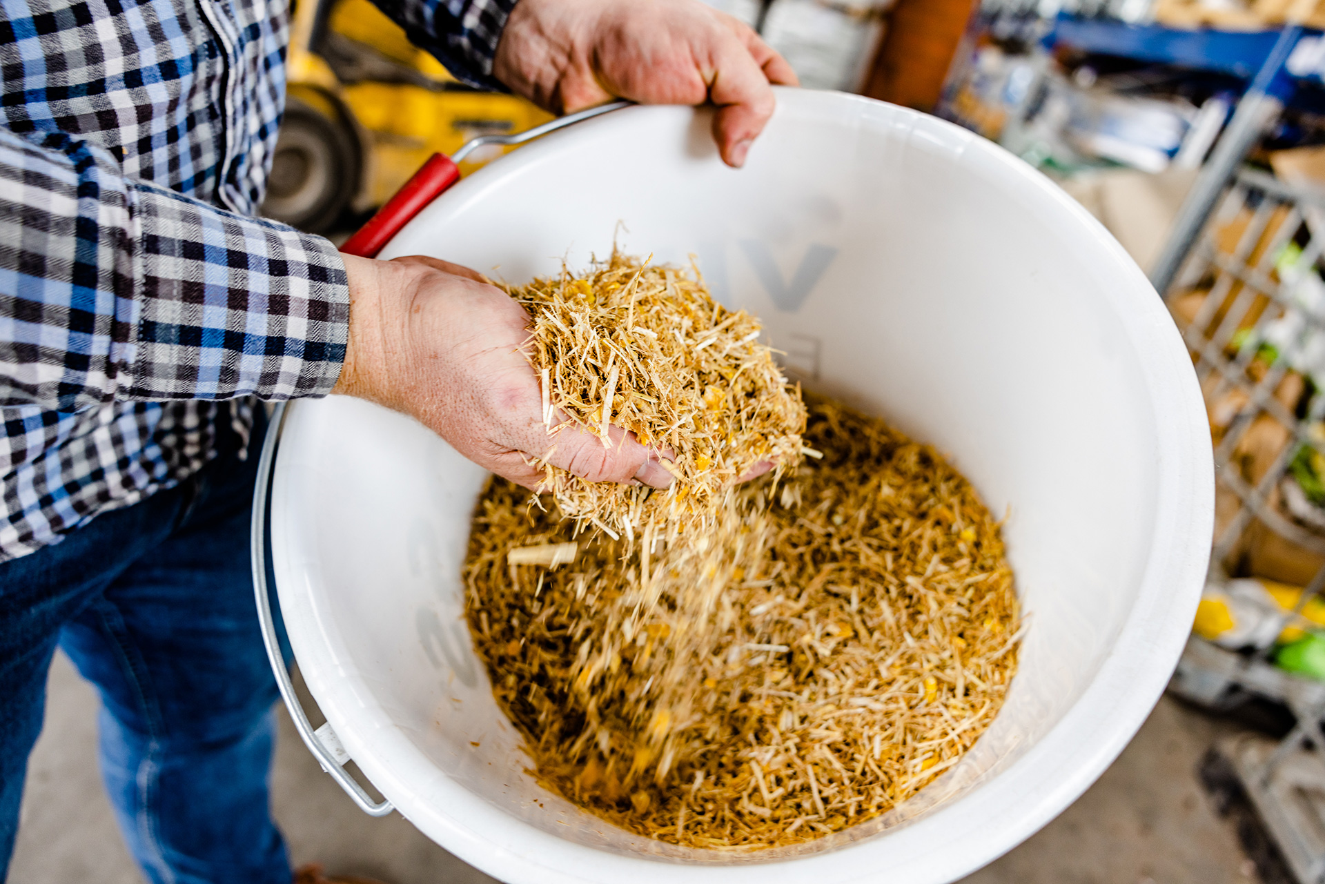 Fütterung TMR 20% Protein für Rinder – Futtermittelexperte Bischof aus Dissen, Schüttorf & Warburg