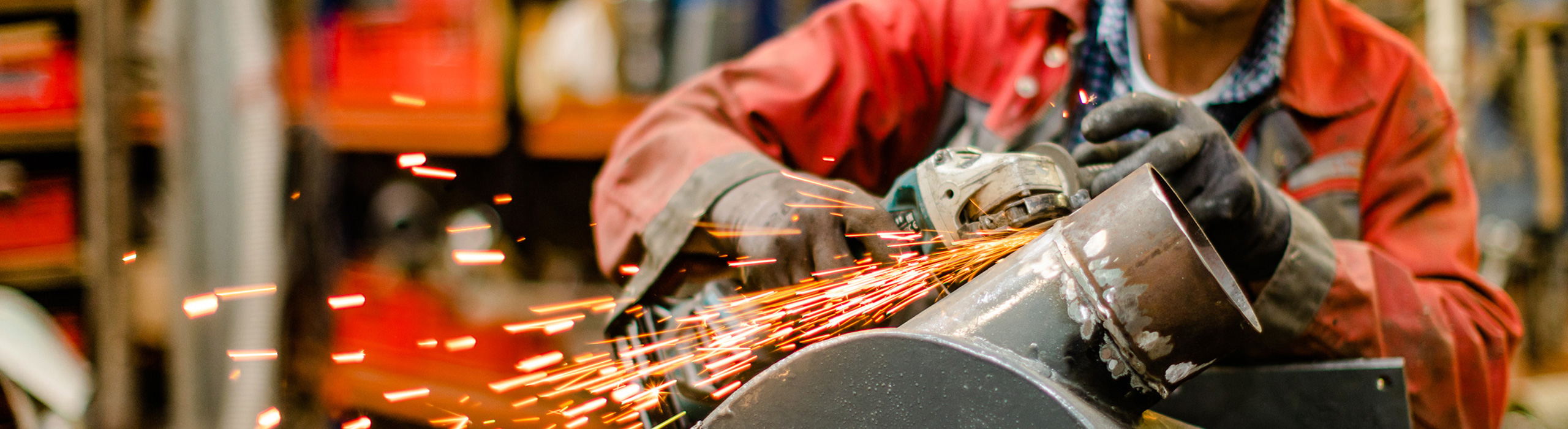 News aus dem Betrieb und der Branche – Futtermittelexperte Bischof aus Dissen, Schüttorf & Warburg