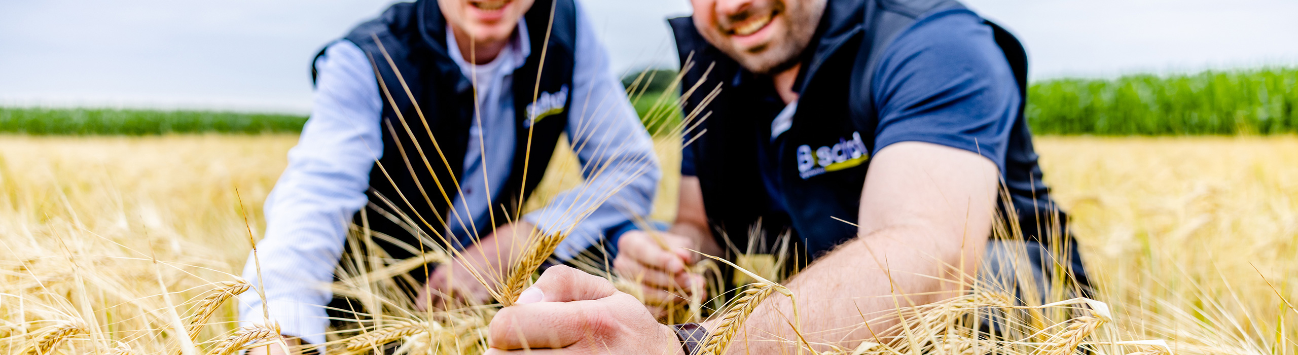 Ihre Ansprechpartner rund um Futtermittelhandel für Schweine, Rinder, sowie Kälber- und Ferkelaufzucht. – Egal ob Konservierungssäure oder hauseigenes Futter XL GRAIN - Ihr Futtermittelexperte aus Dissen, Schüttorf & Warburg